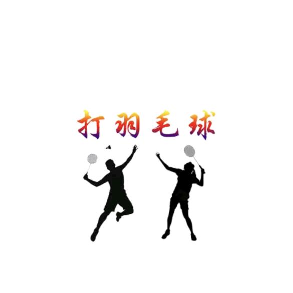 铭扬羽球（商南）