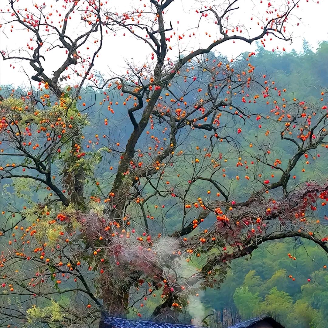 漯河市源汇区贰涨百货店（个体工商户）