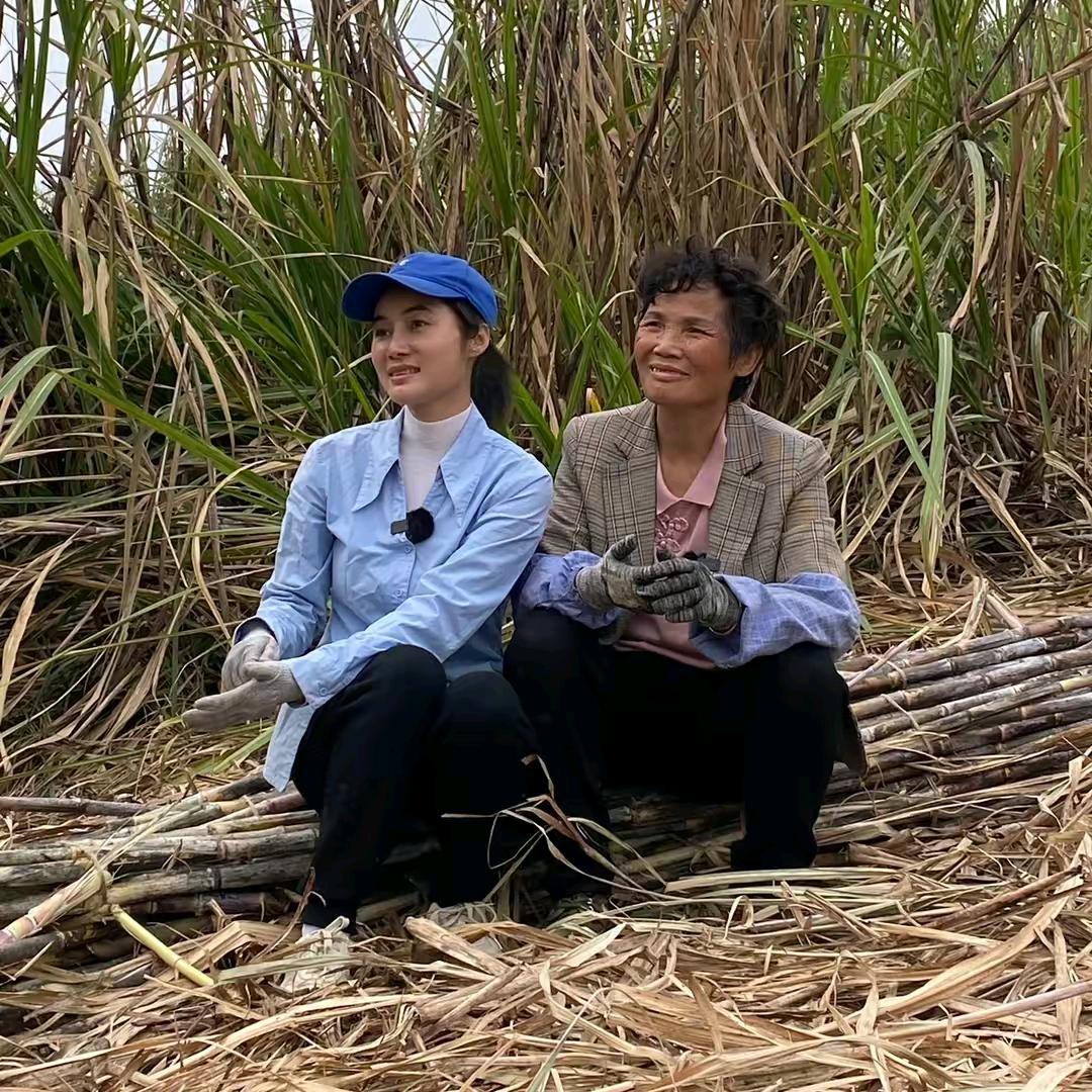 广西大玉 甄选
