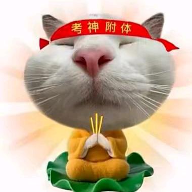 菠萝咕噜肉头像