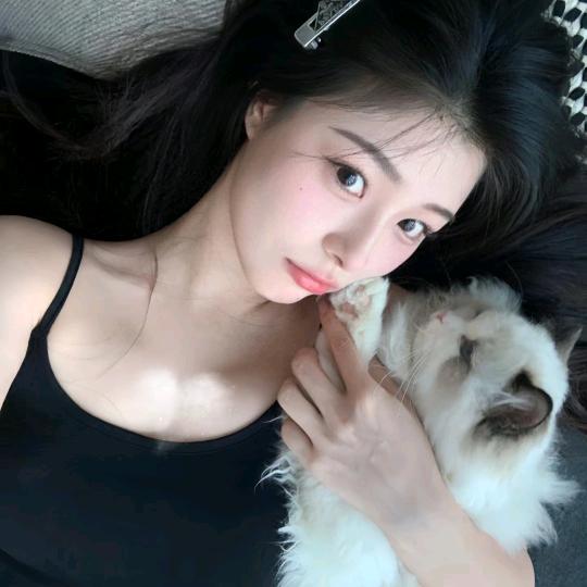 喜欢k9宝宝嘛