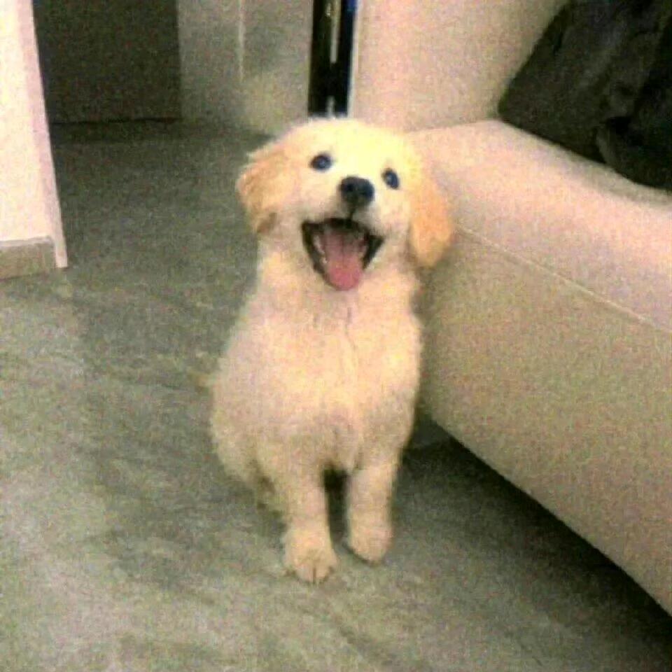 叁贰零