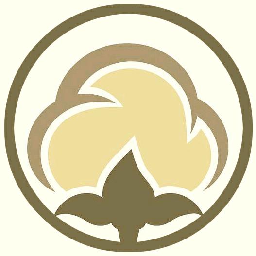 大颖宝