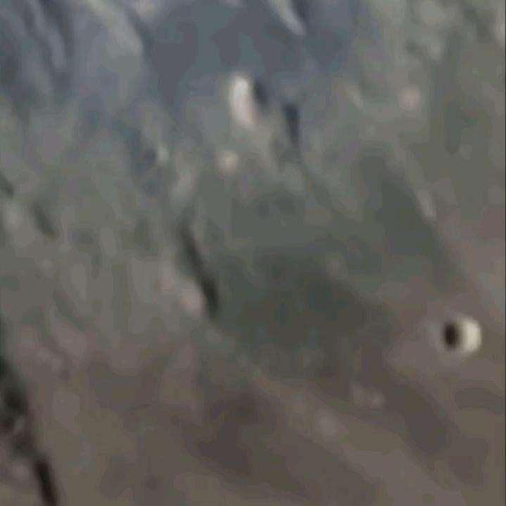 小66