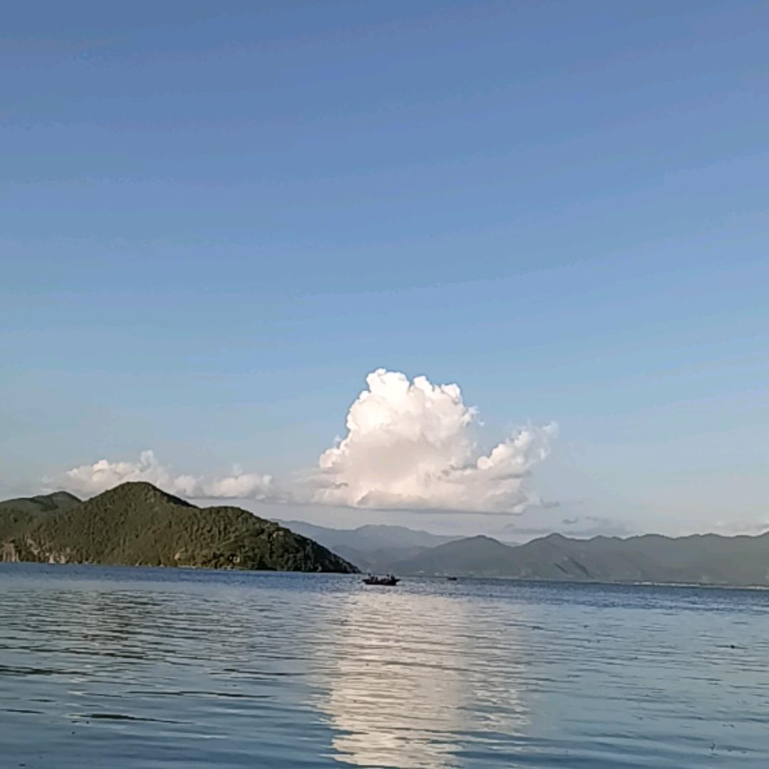 渝之岚