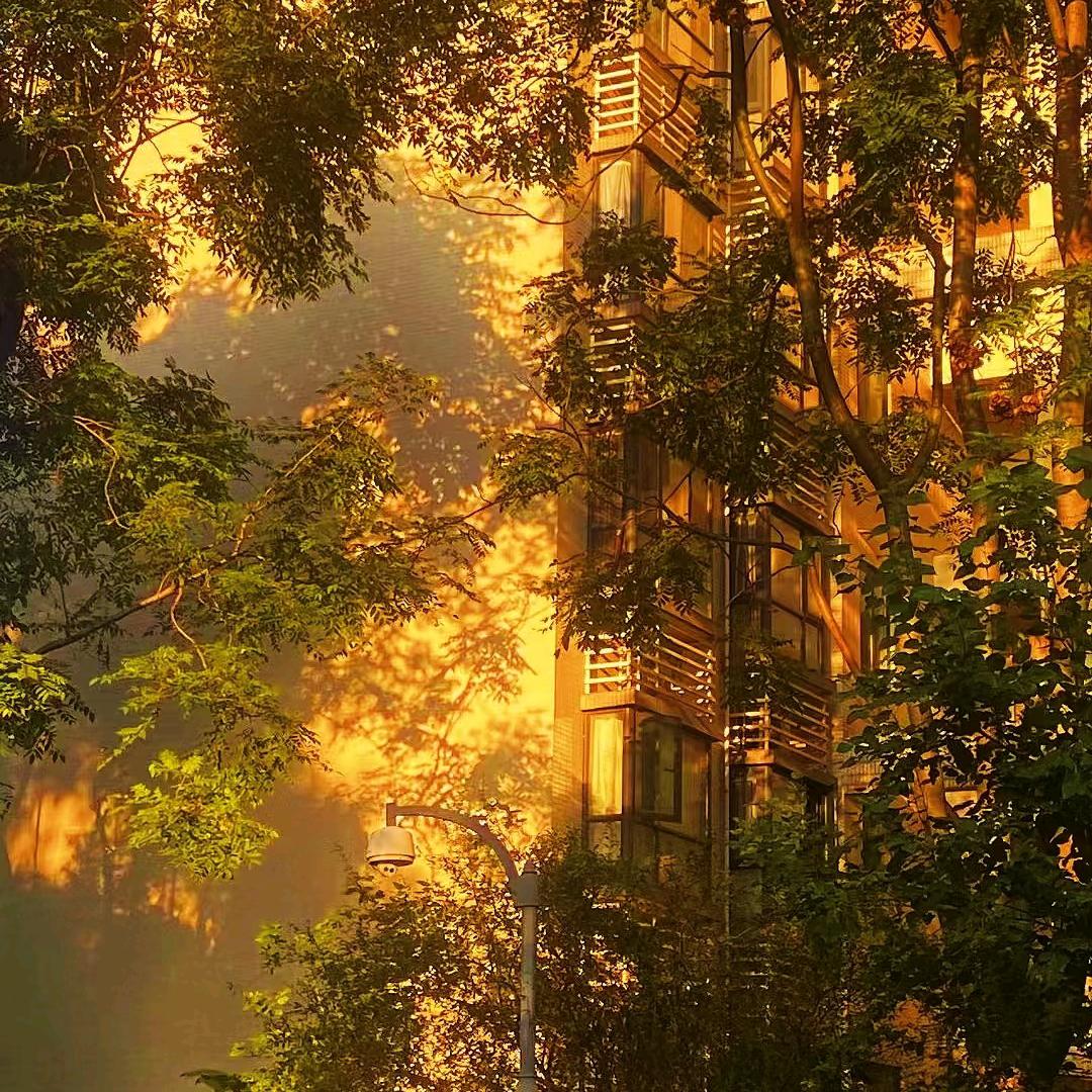 财神小爹地