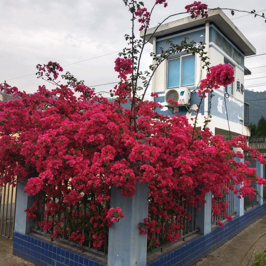 怎么开心怎么过