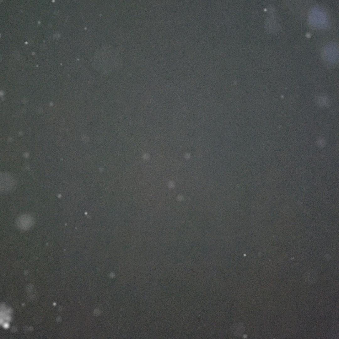 二爷