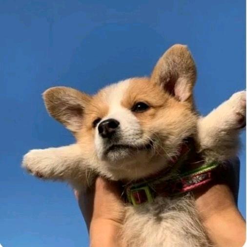 源潭　　　　༽