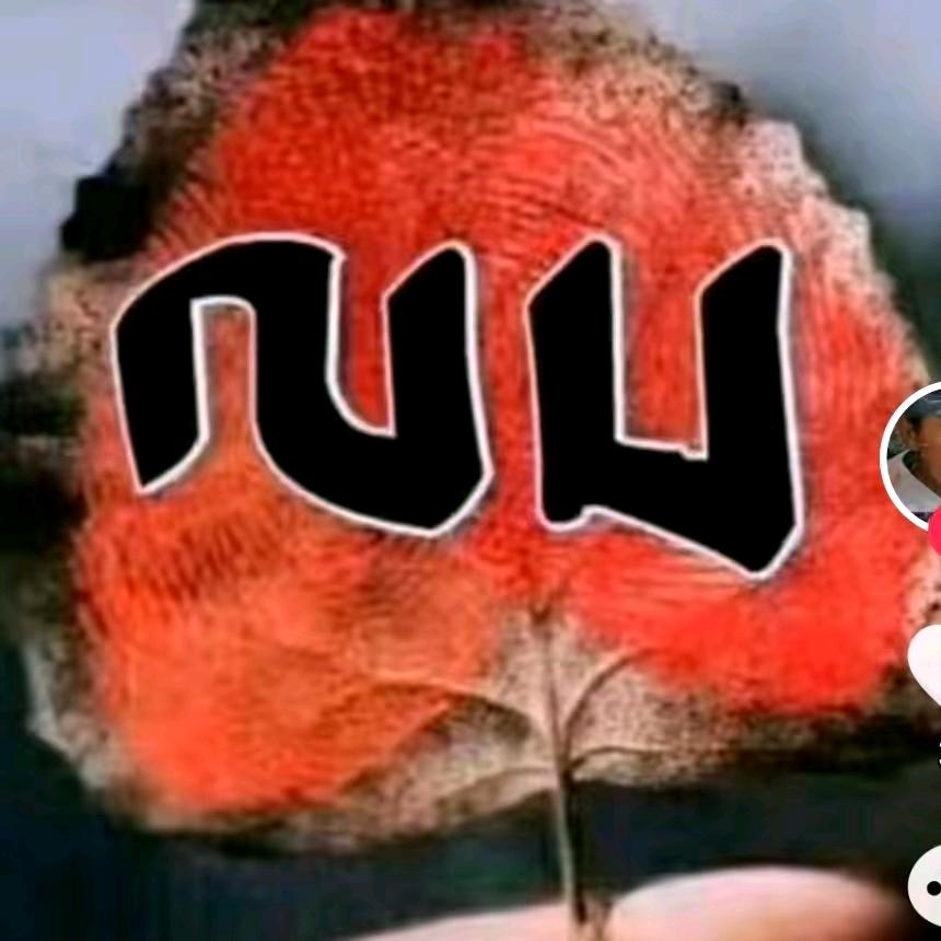 🌹后藏女孩🌹