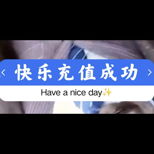 美味快乐充值成功