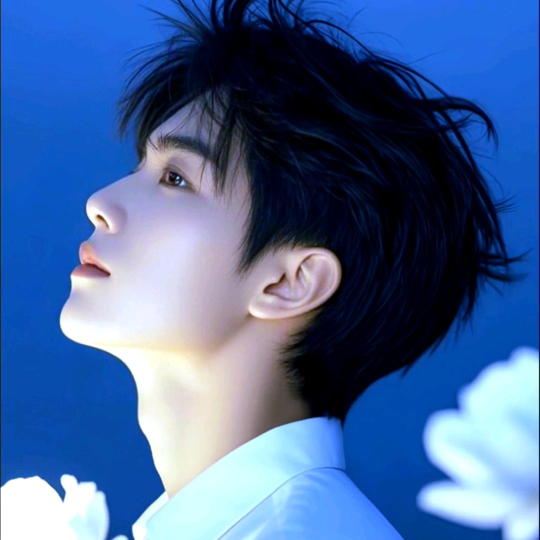 ❤️陪伴✨音乐🎶