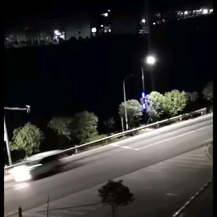 孤傲的狼