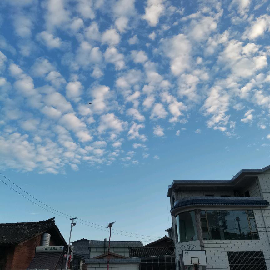 🍒开心果（⌒▽⌒）