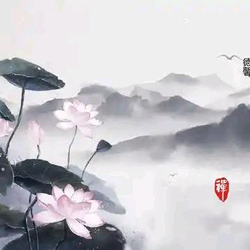 智渊行何老师