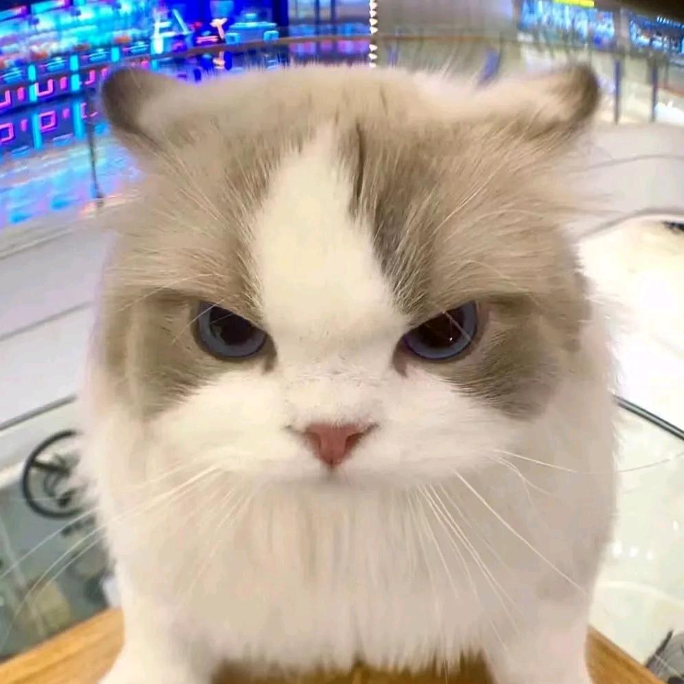 通りすがりの仮面ライダーです