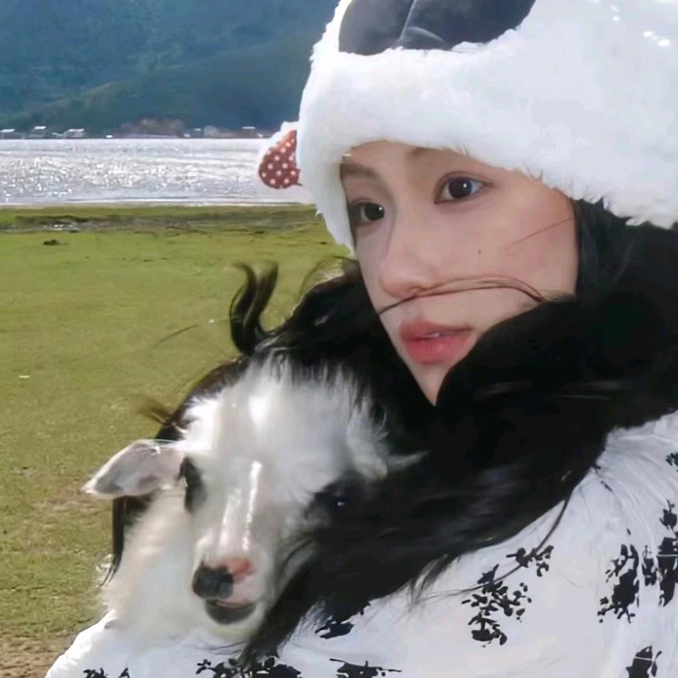 小羊慧发财ฅ •ﻌ•♡