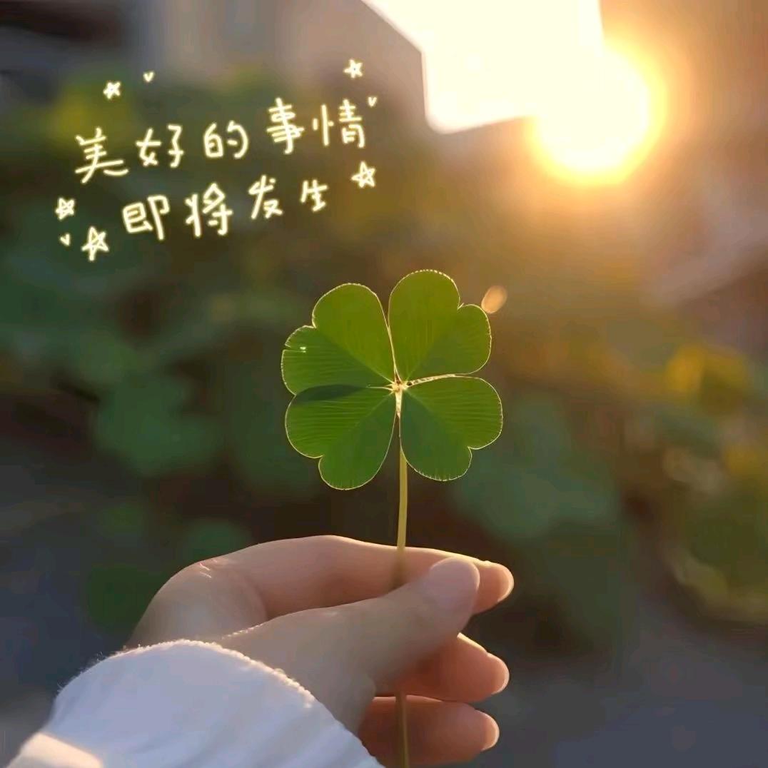 ✨心殇想星星✨