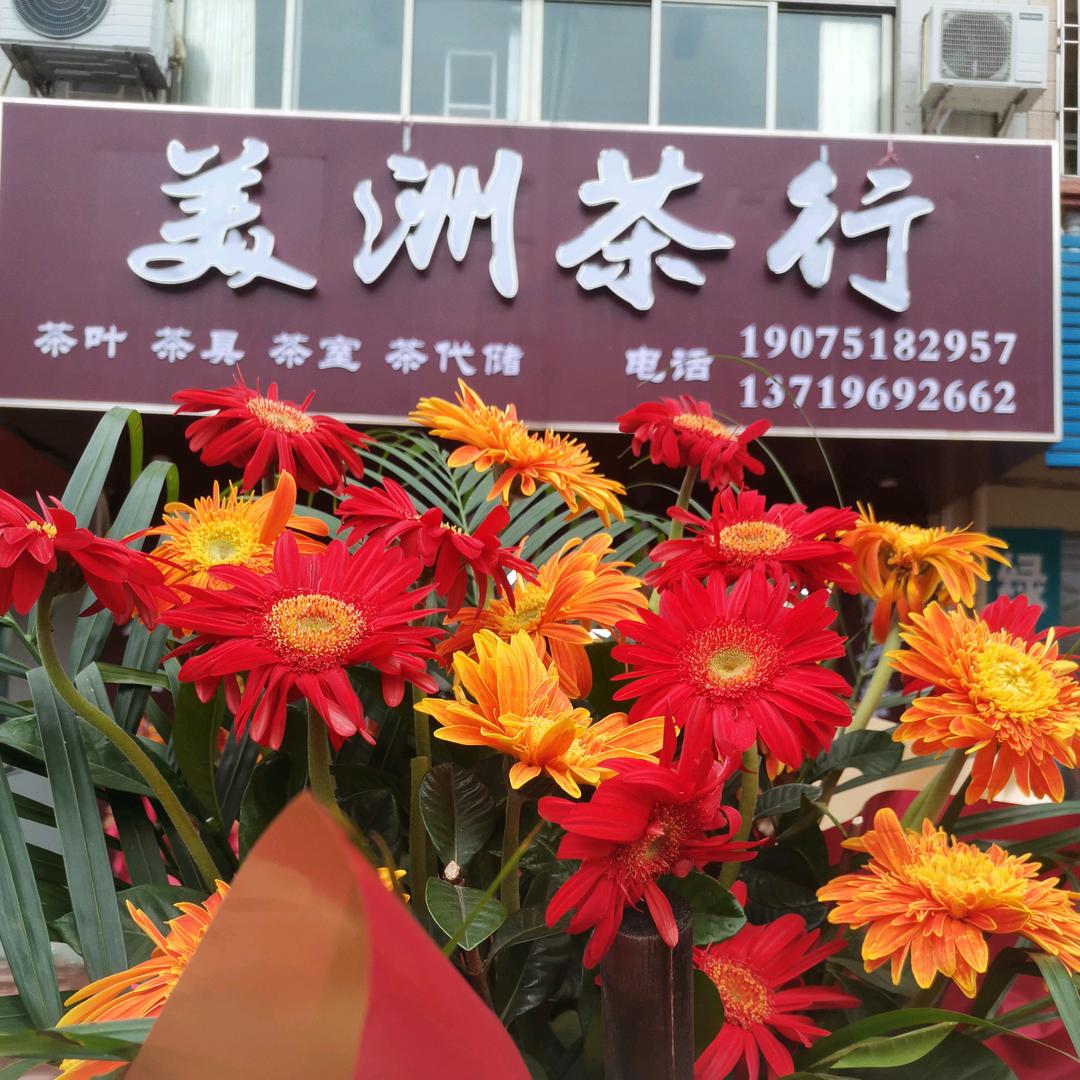 阳春美洲茶行~🌻