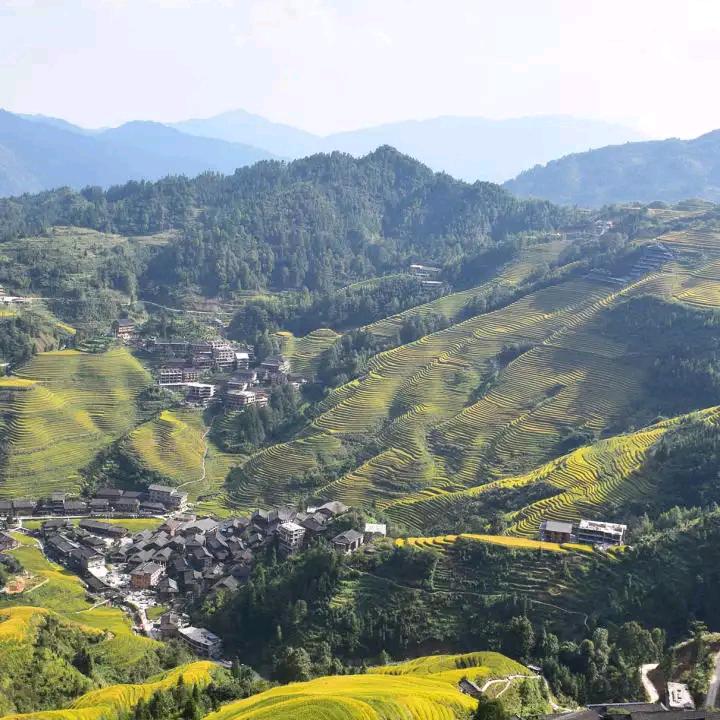 红心❤️搞钱买肉