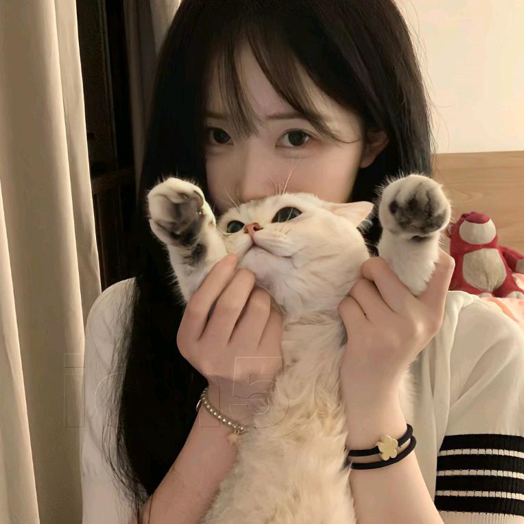 卷卷