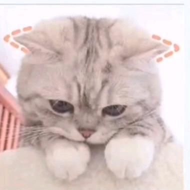 人这一生太难了，