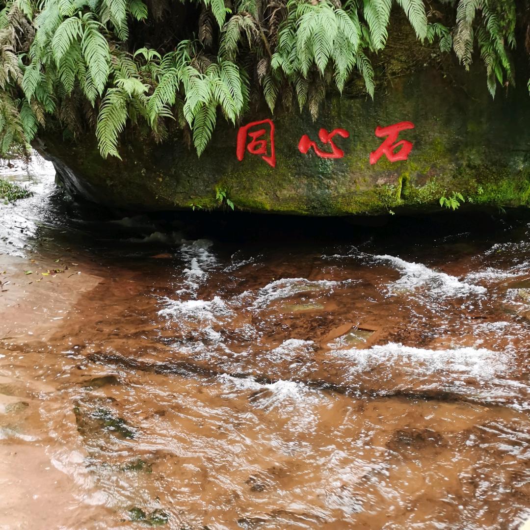 风中的雨🌧🌧