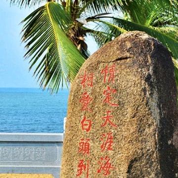 雾岛起风时