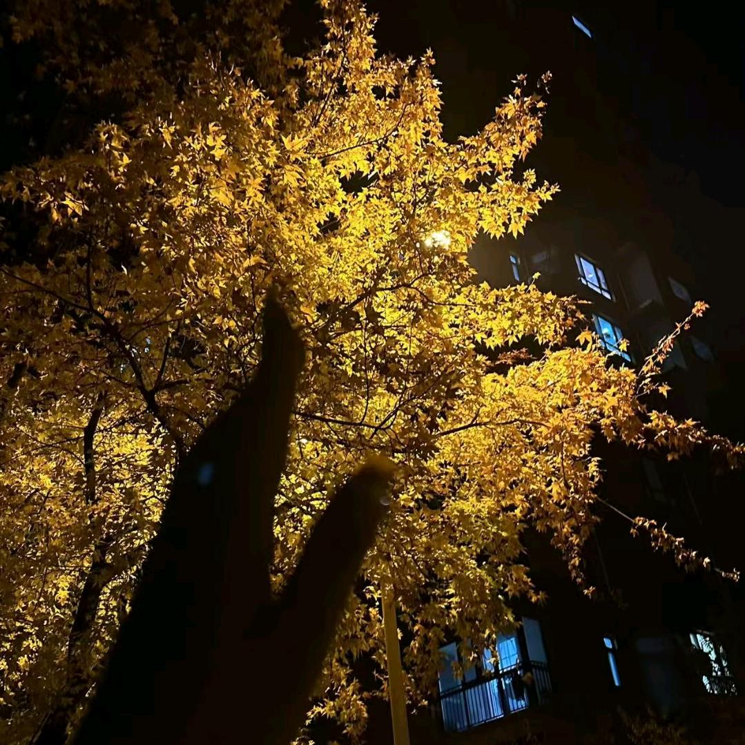 一百万