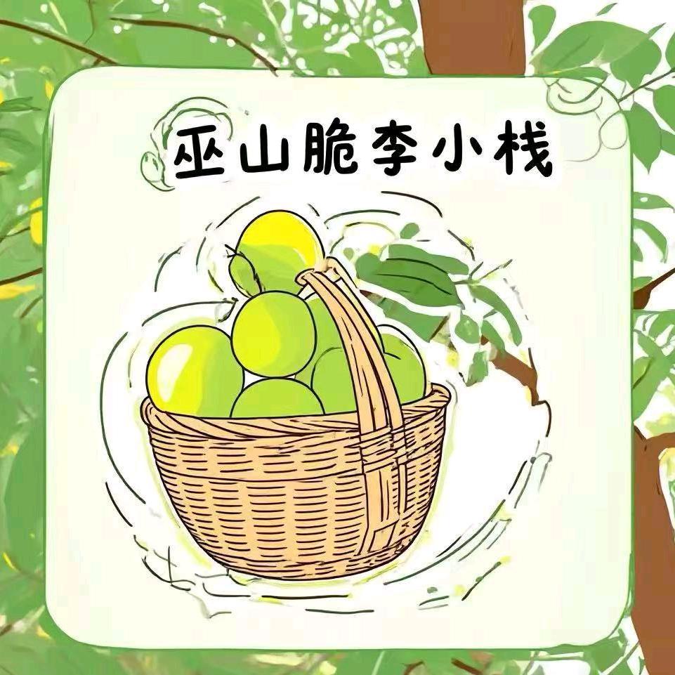 巫山脆李-嘎嘣脆