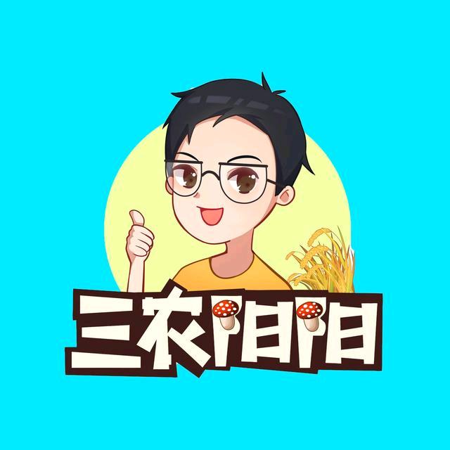 三农阳阳