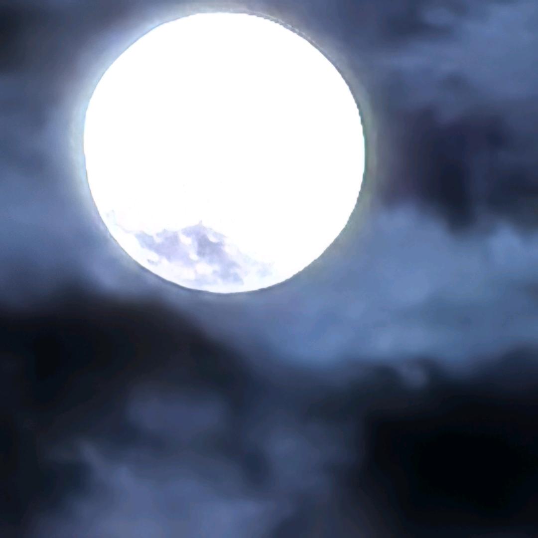 白天不懂夜的黑