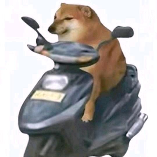 鱼