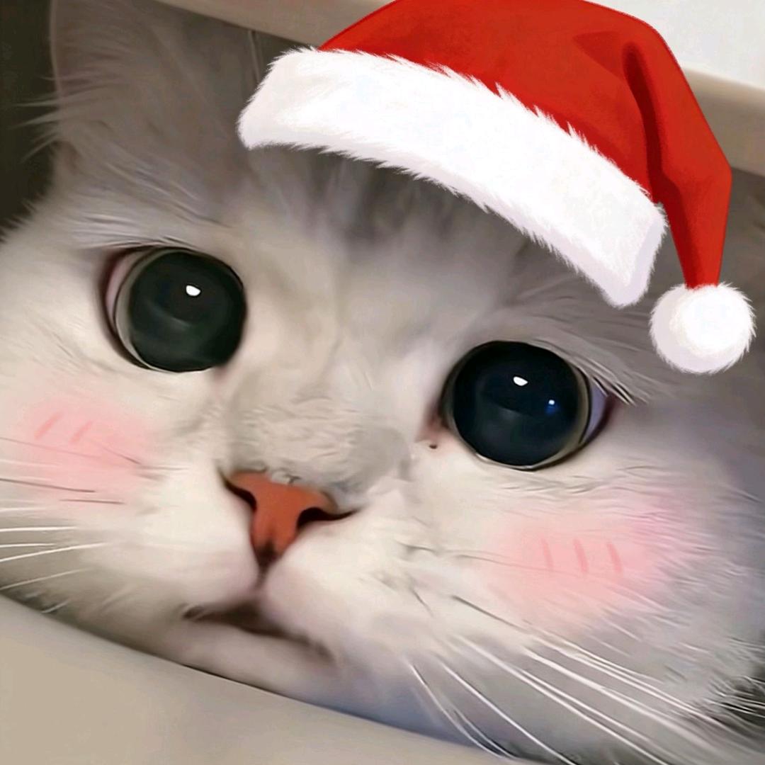 海棠湾~Designer Chen