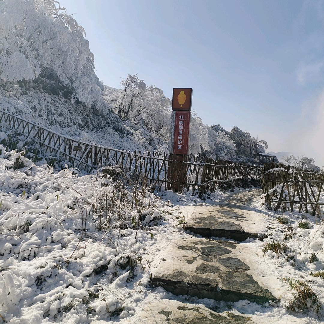 '小兰(拒绝私聊)