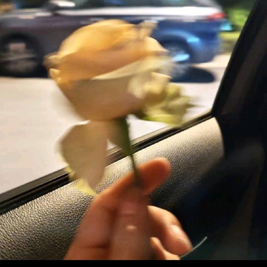 小米宝贝（4岁半）