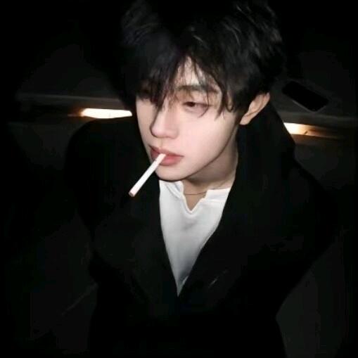 想养一只小鲨鱼