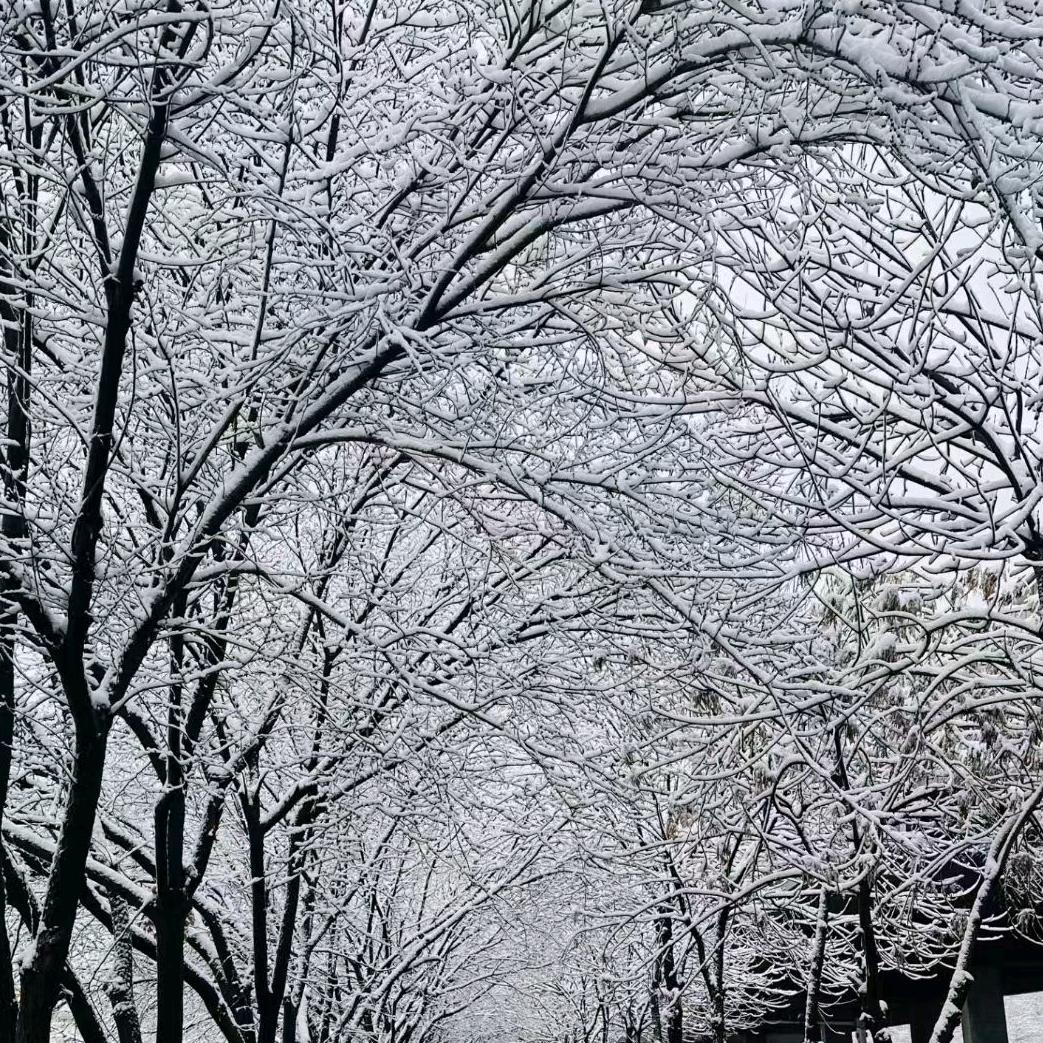 💞ღ᭄w𖠚ᐝuෆ꧔᭄