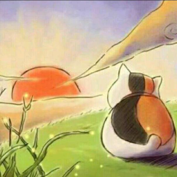 源（三角洲行动）