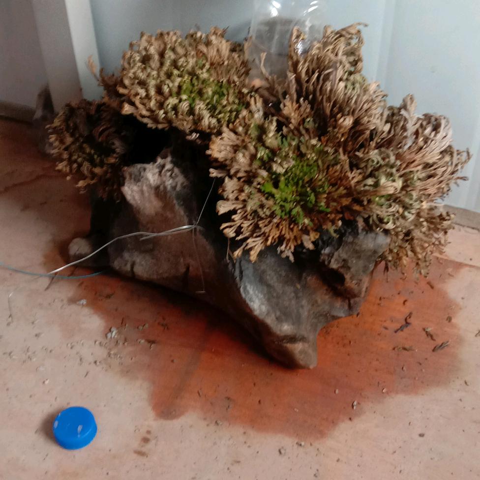 @相识为♥何伤害@