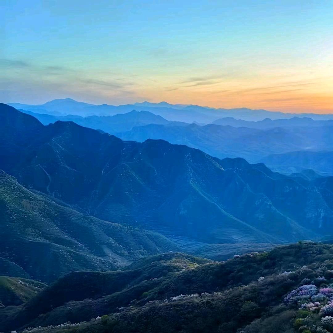 期市实战老手