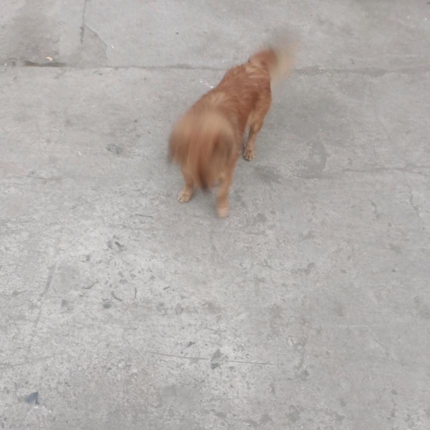 二手建材承包板房雨棚等等