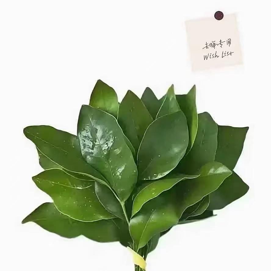 A      土豆