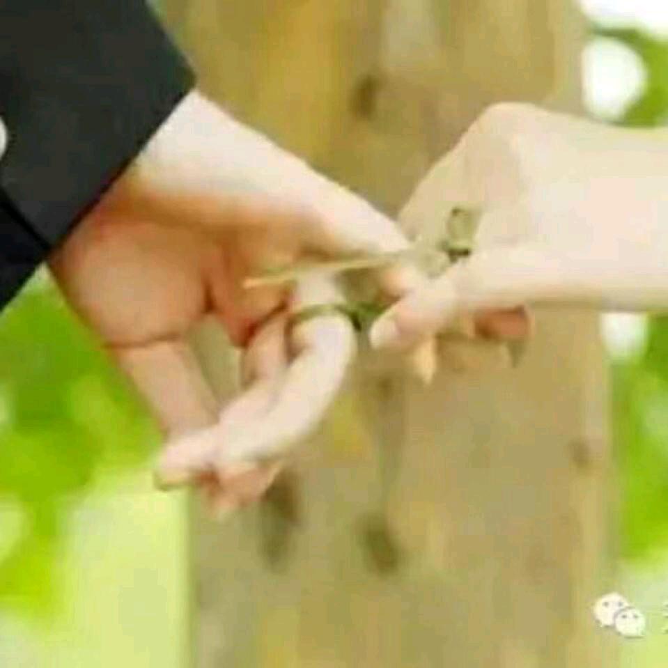 懂你