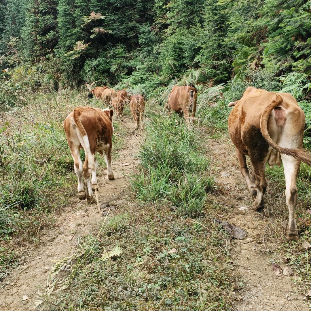 目中有人才有路