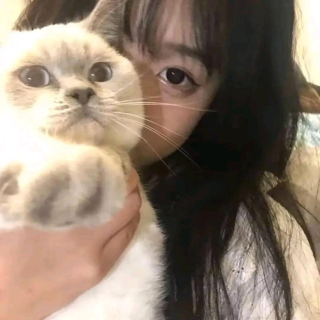 怡宝