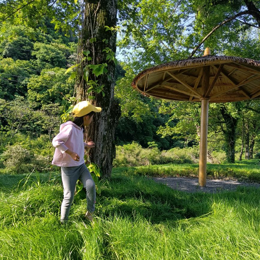 吉祥如意招财进宝富强康乐