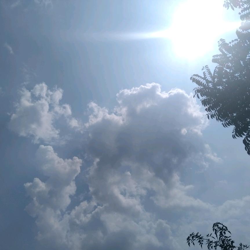 顺然  ☀拒私聊