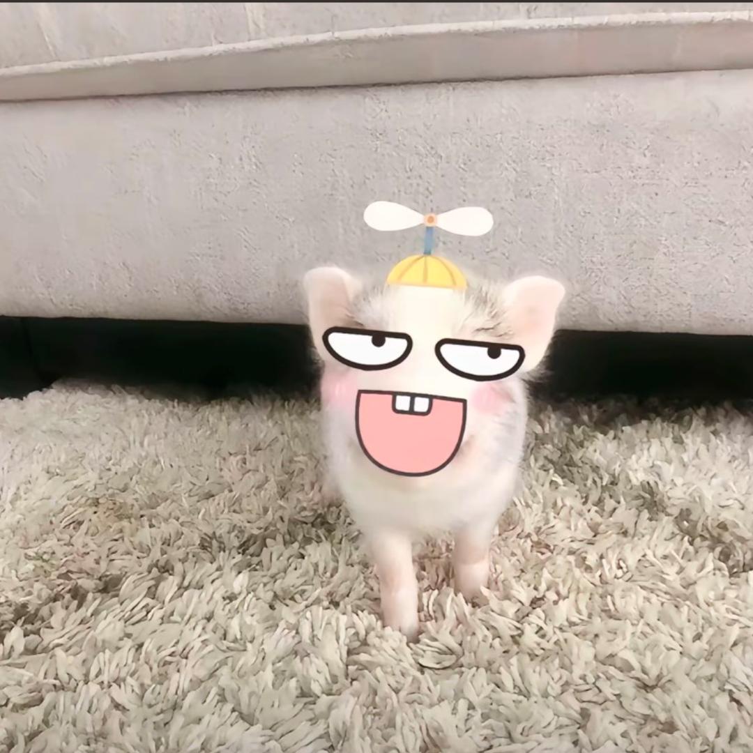 我十拿九稳就差你一吻