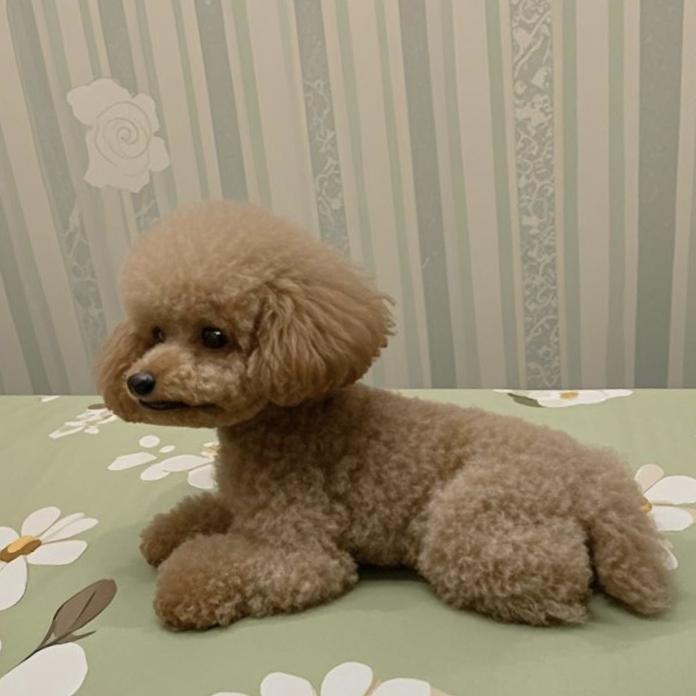 蜂蜜（省钱团购）